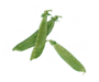 えんどう