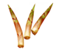 たけのこ