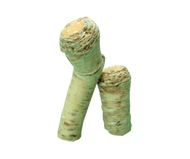 わさび wasabi、japanese horseraradish(英)